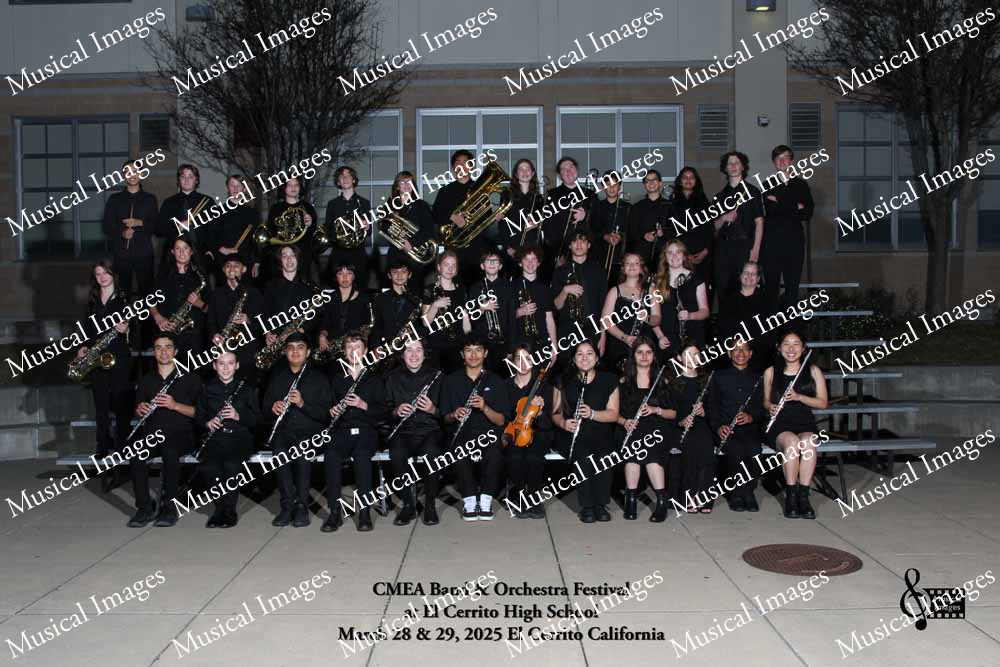 Musical Images